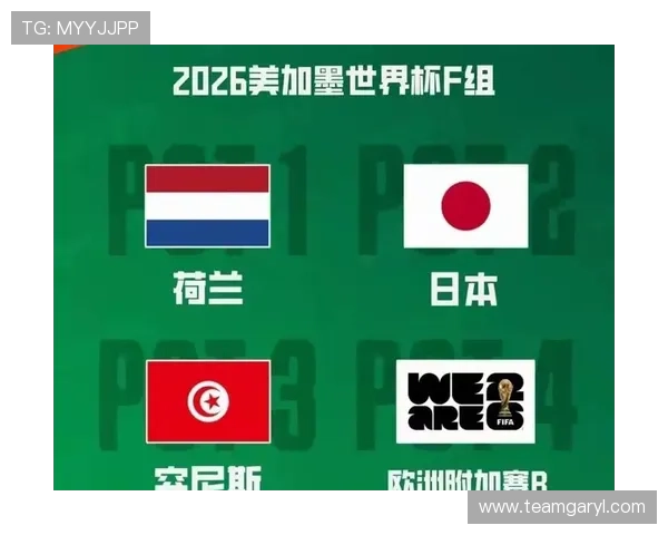 2026年世界杯荷兰VS日本比赛规则变化及比赛中应注意的关键事项